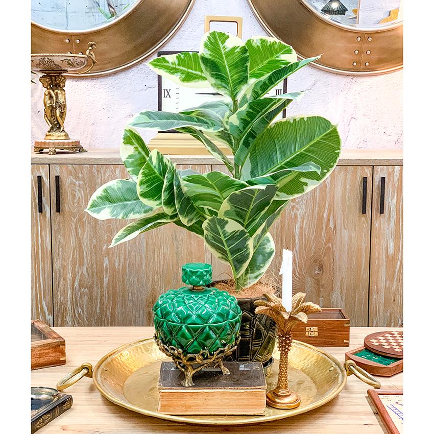 Candles & Candle Holders