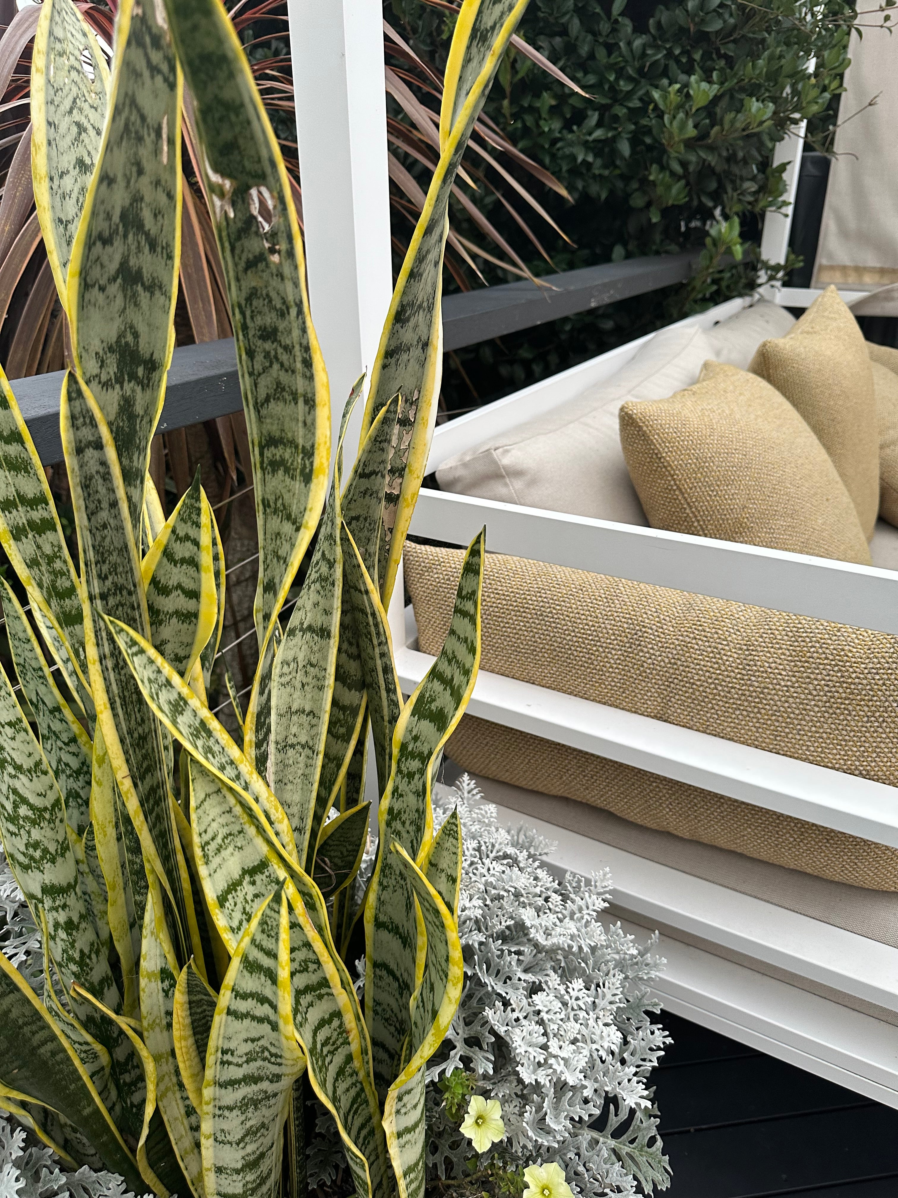 Sunlounger Ostuni in Citrine