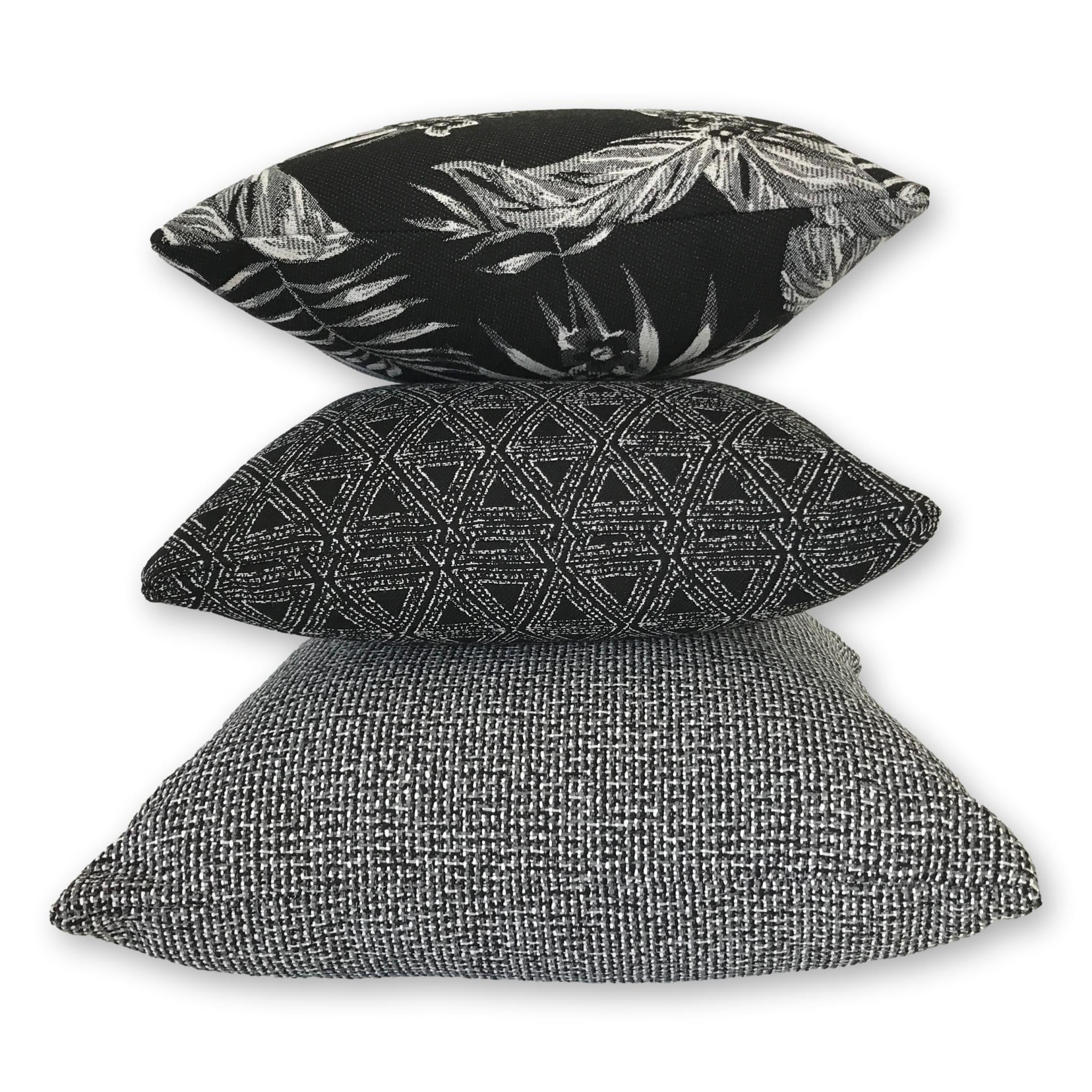 Cooktown Orchid in Classic Black