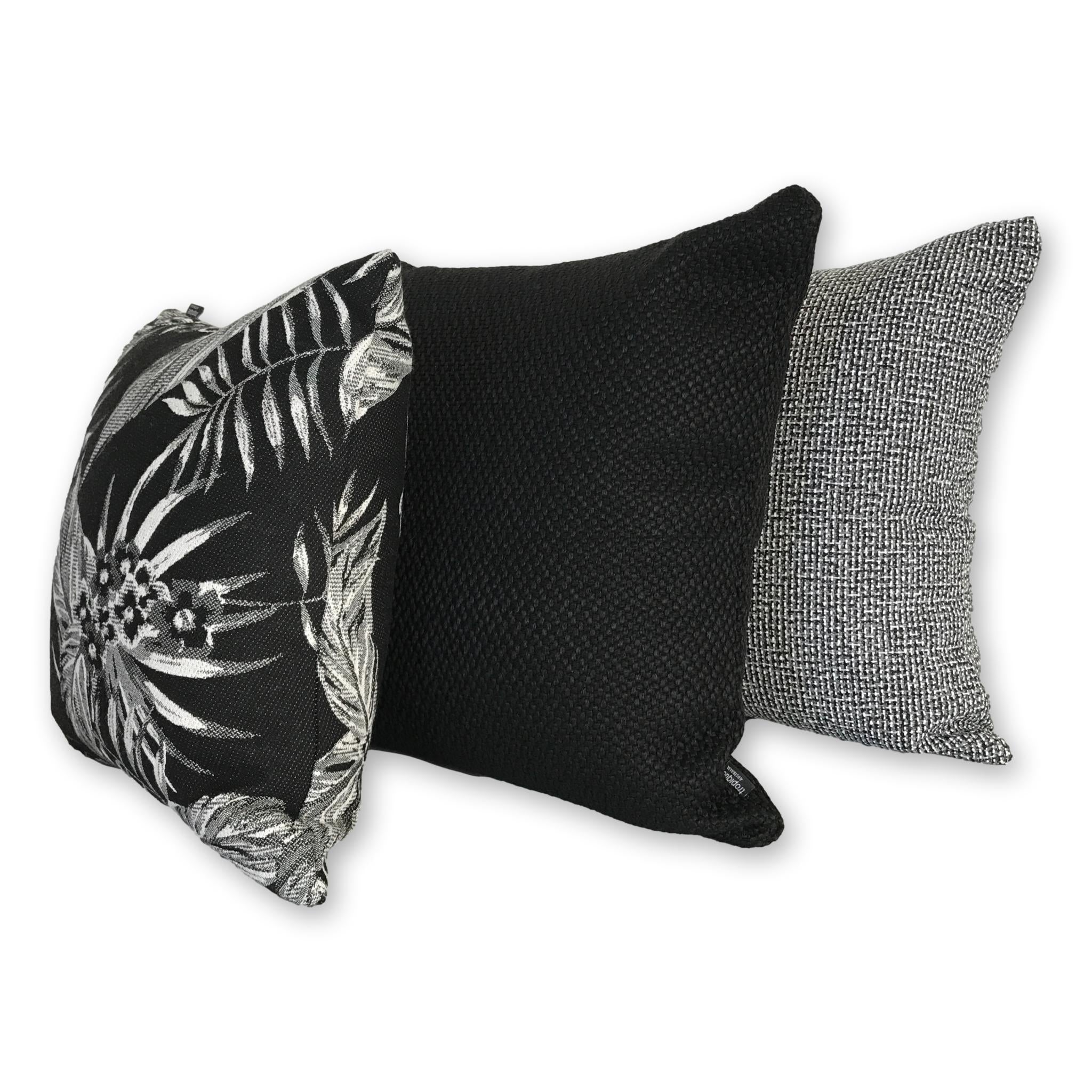 Cooktown Orchid in Classic Black