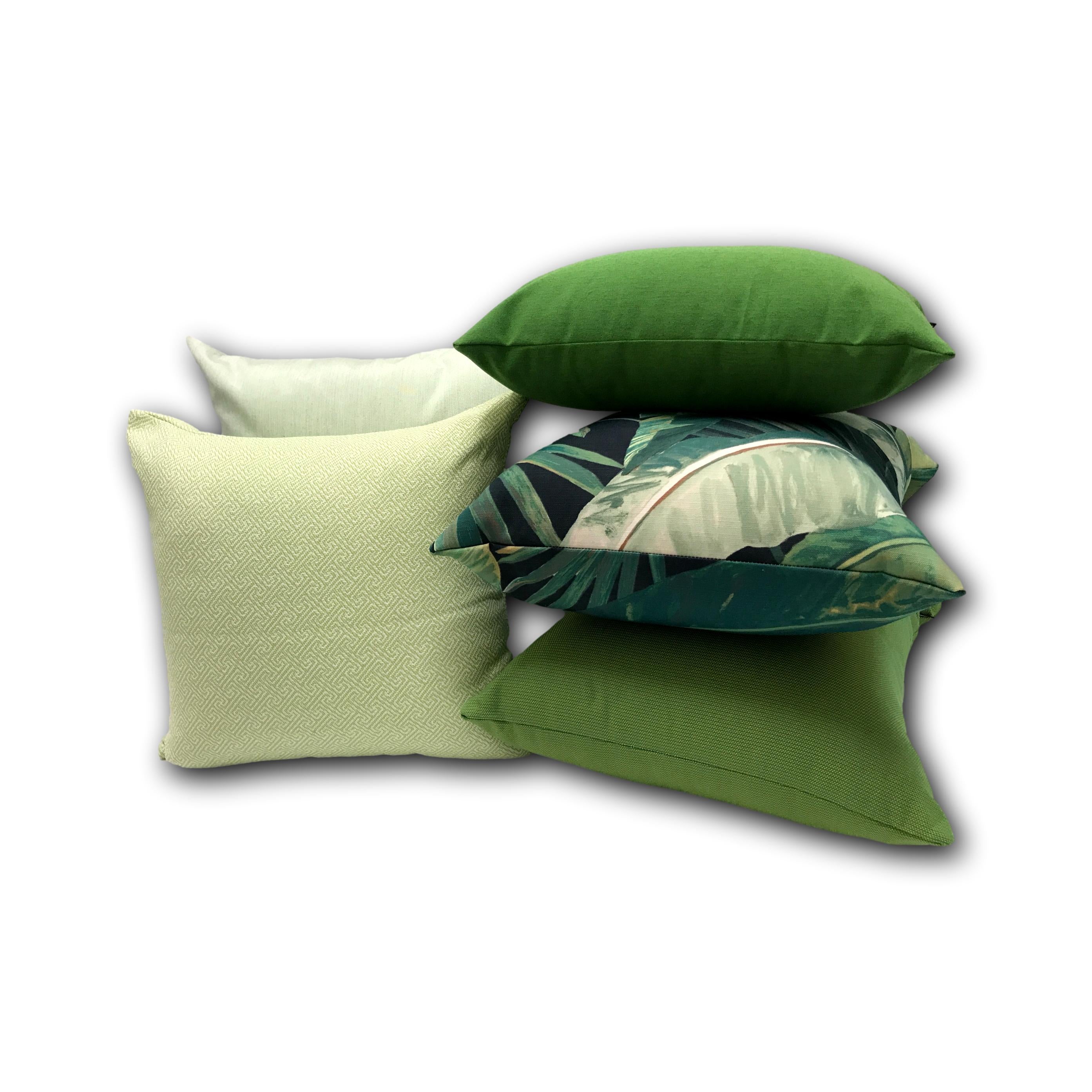 Climbing in Parrot - Sold Out