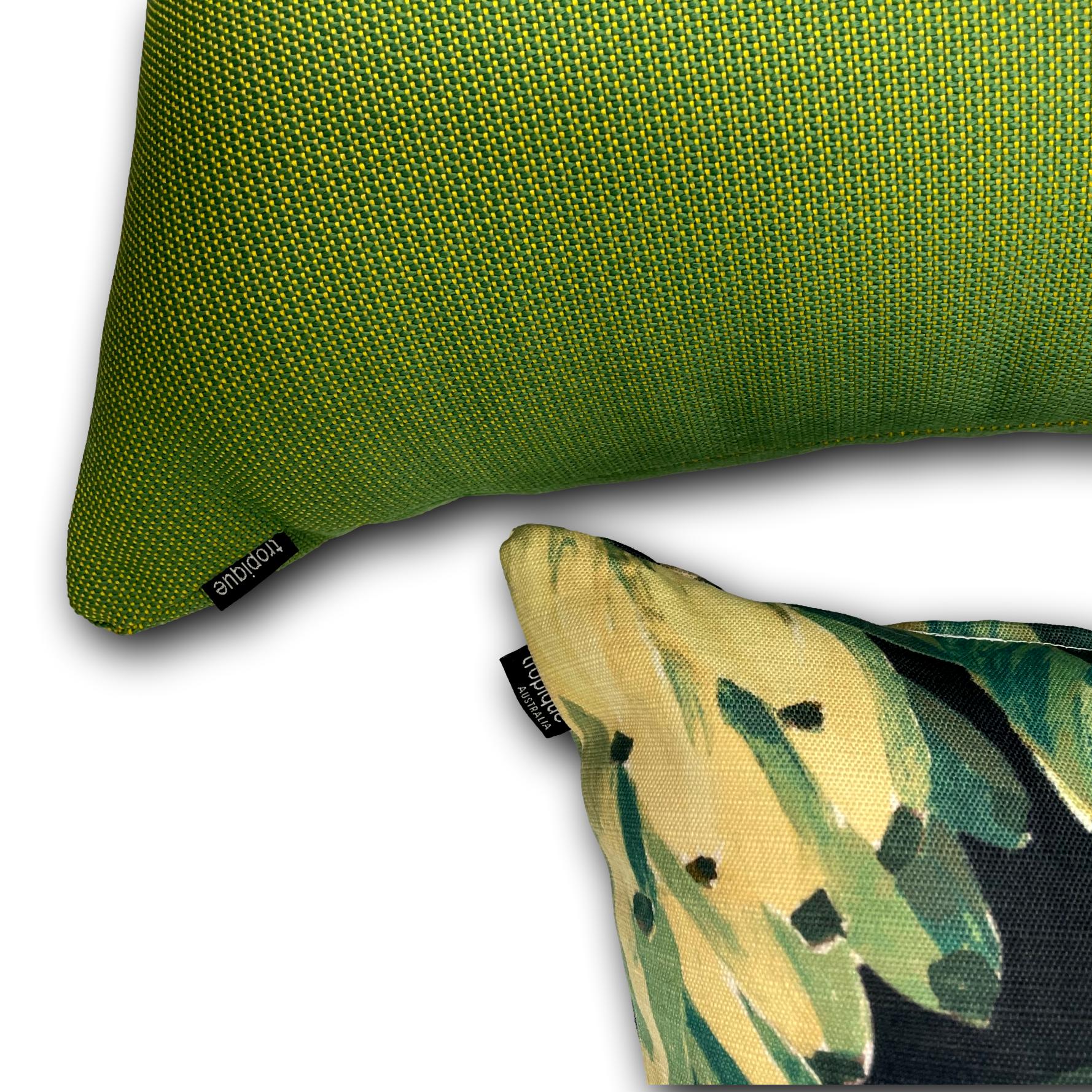 Climbing in Parrot - Sold Out