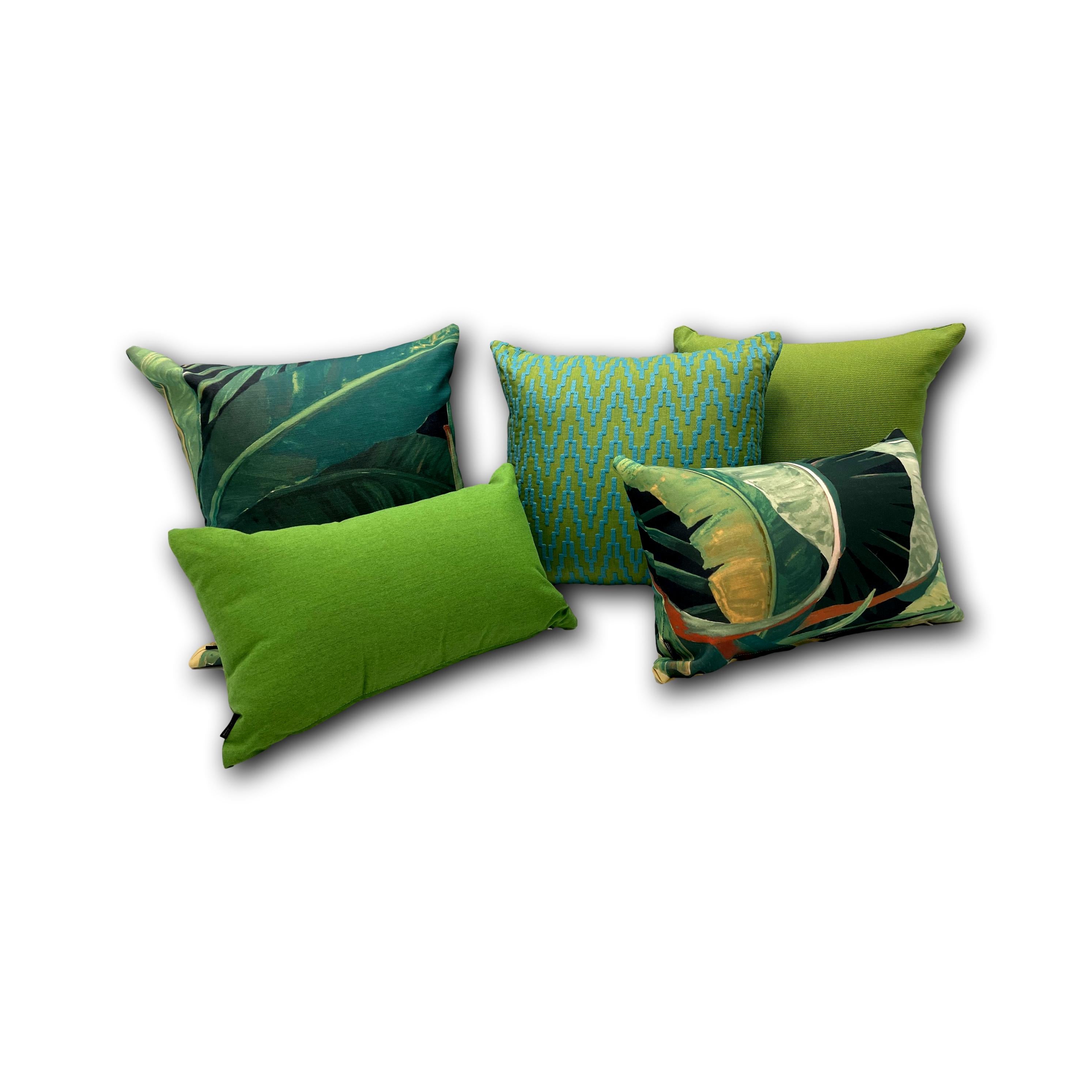 Climbing in Parrot - Sold Out