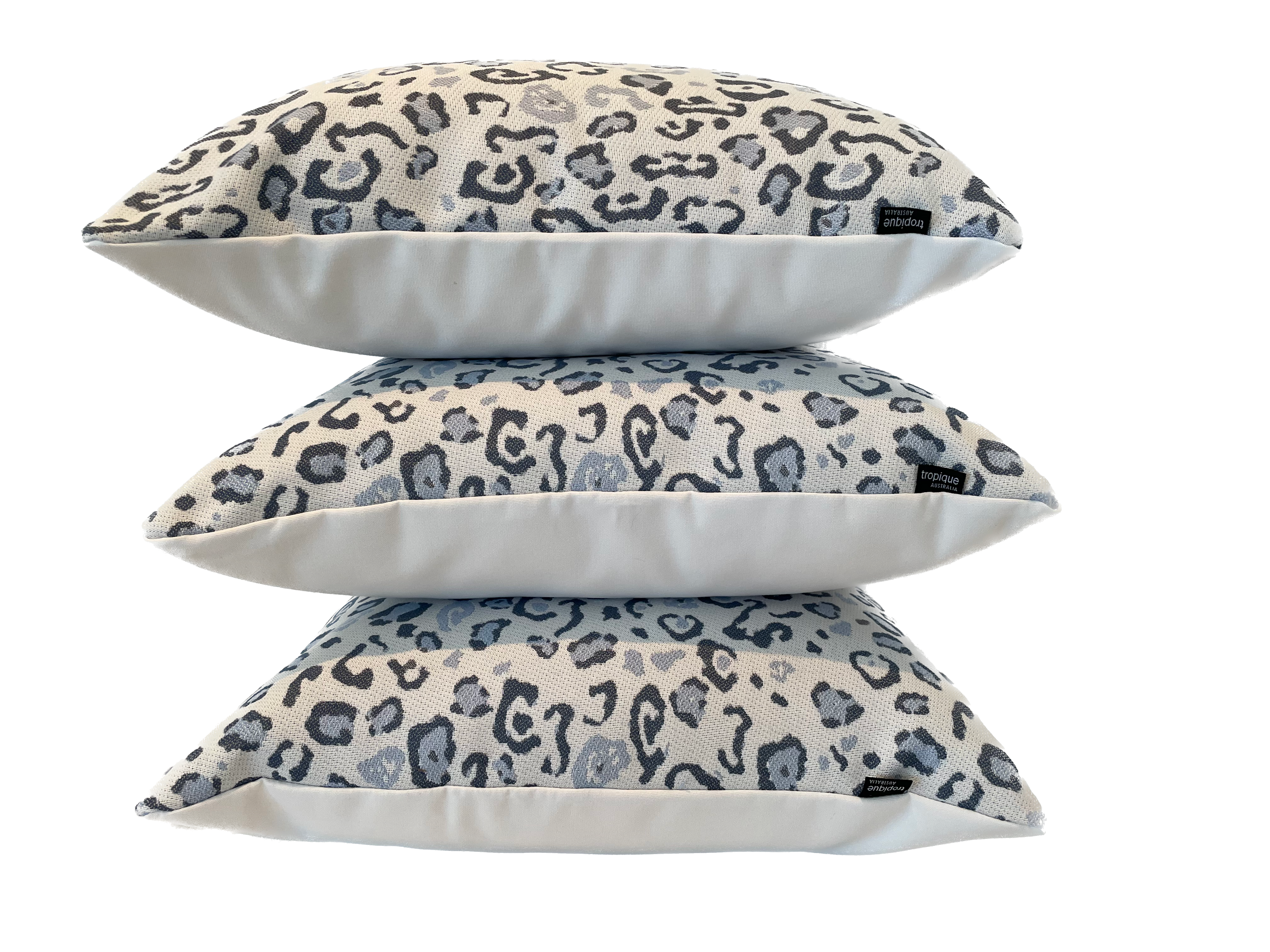 Leopard in Cloud