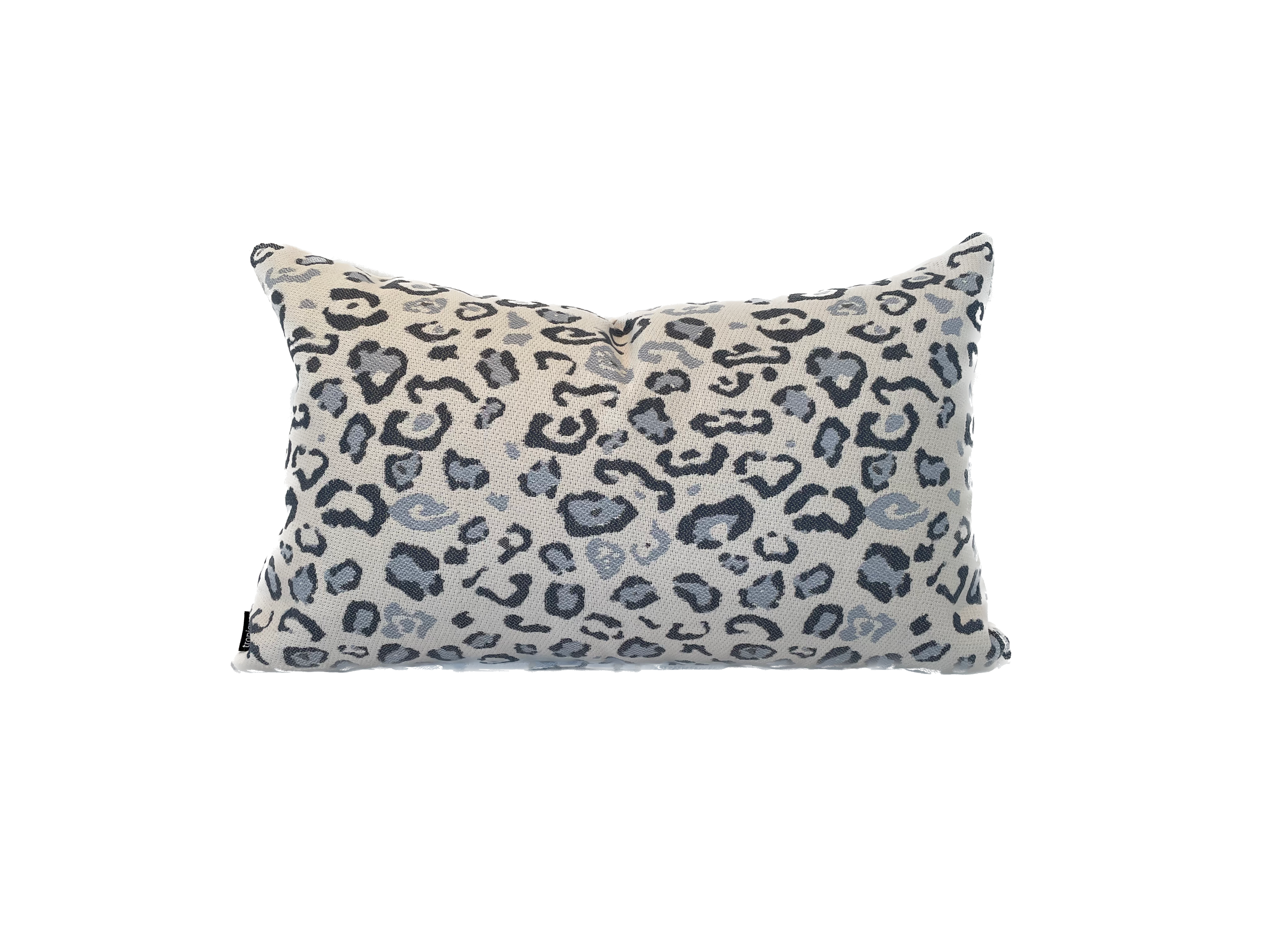 Leopard in Cloud