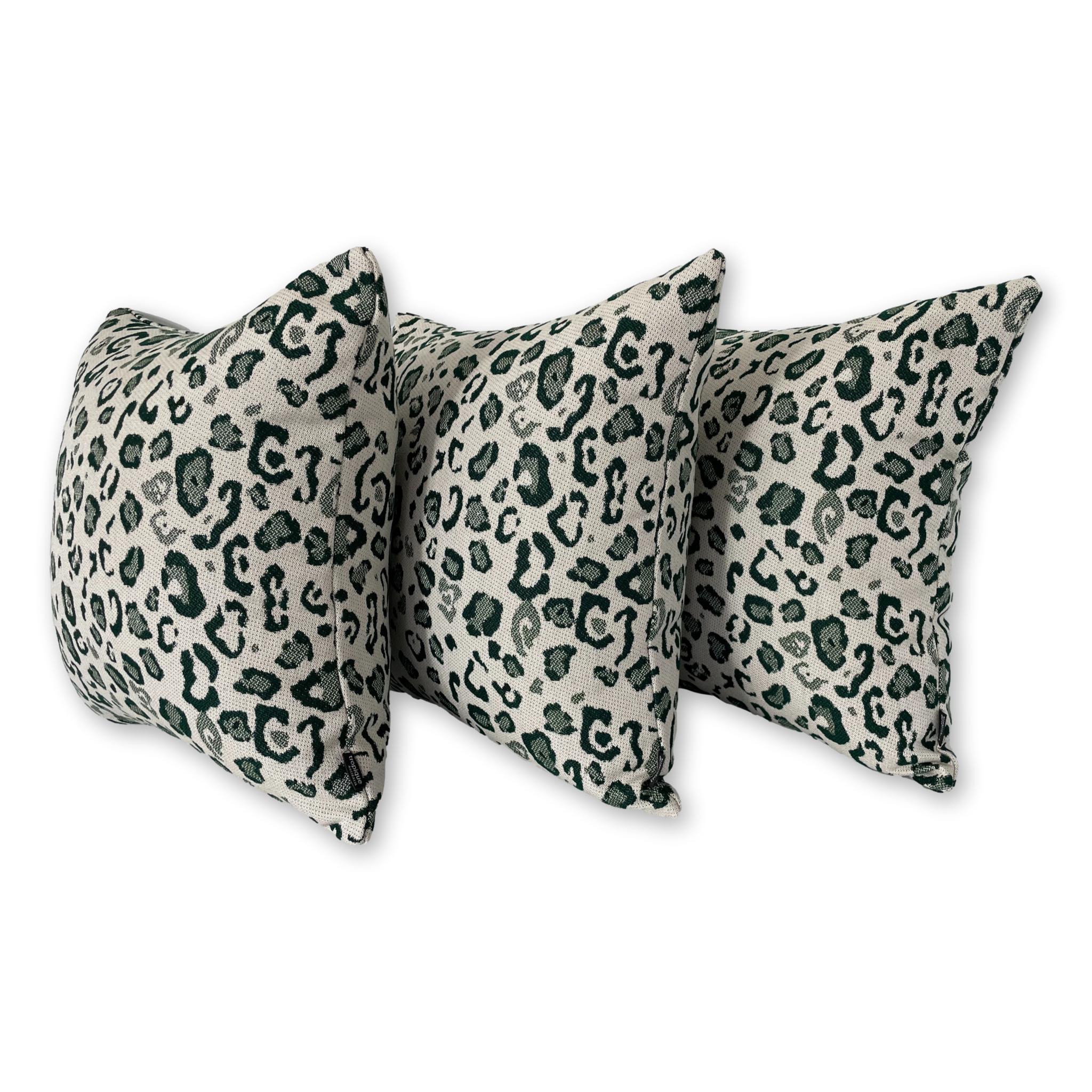 Leopard in Ivy