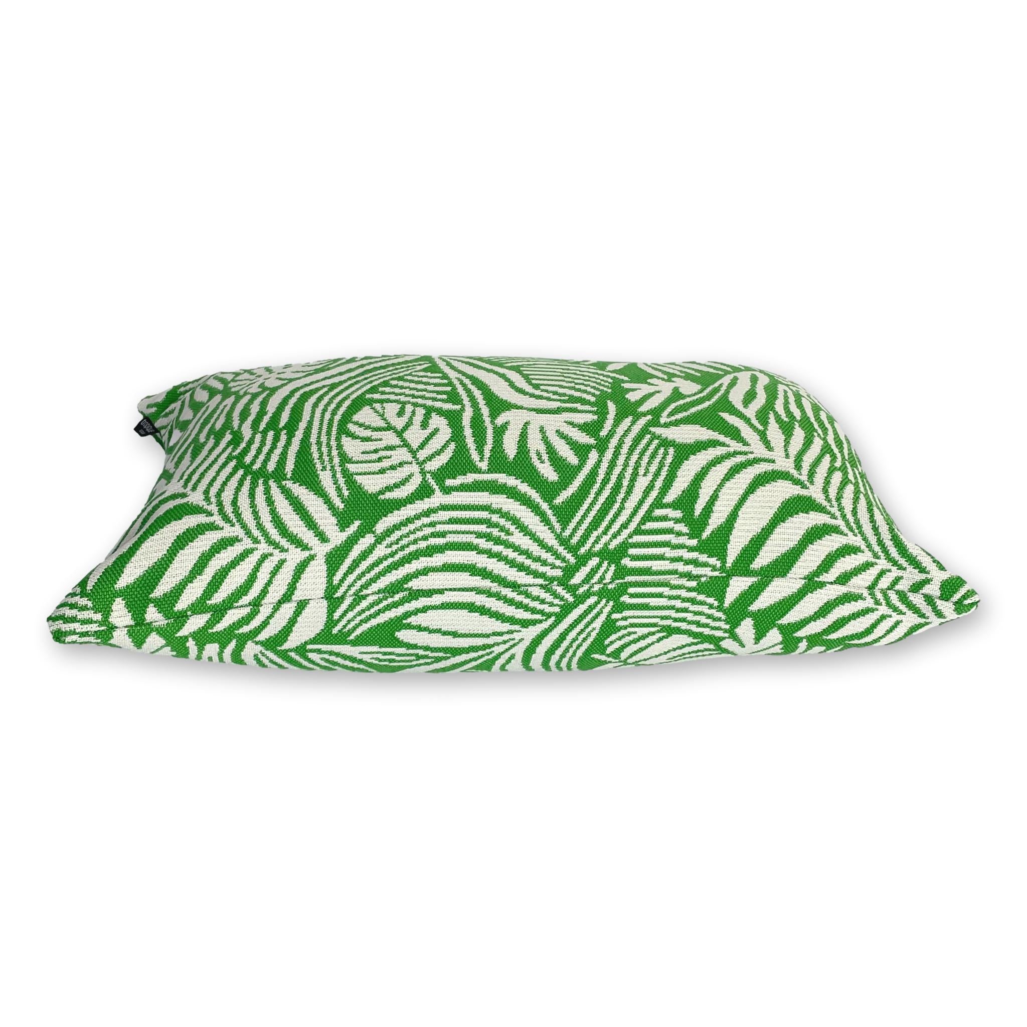 Tropical Leaf in Monstera