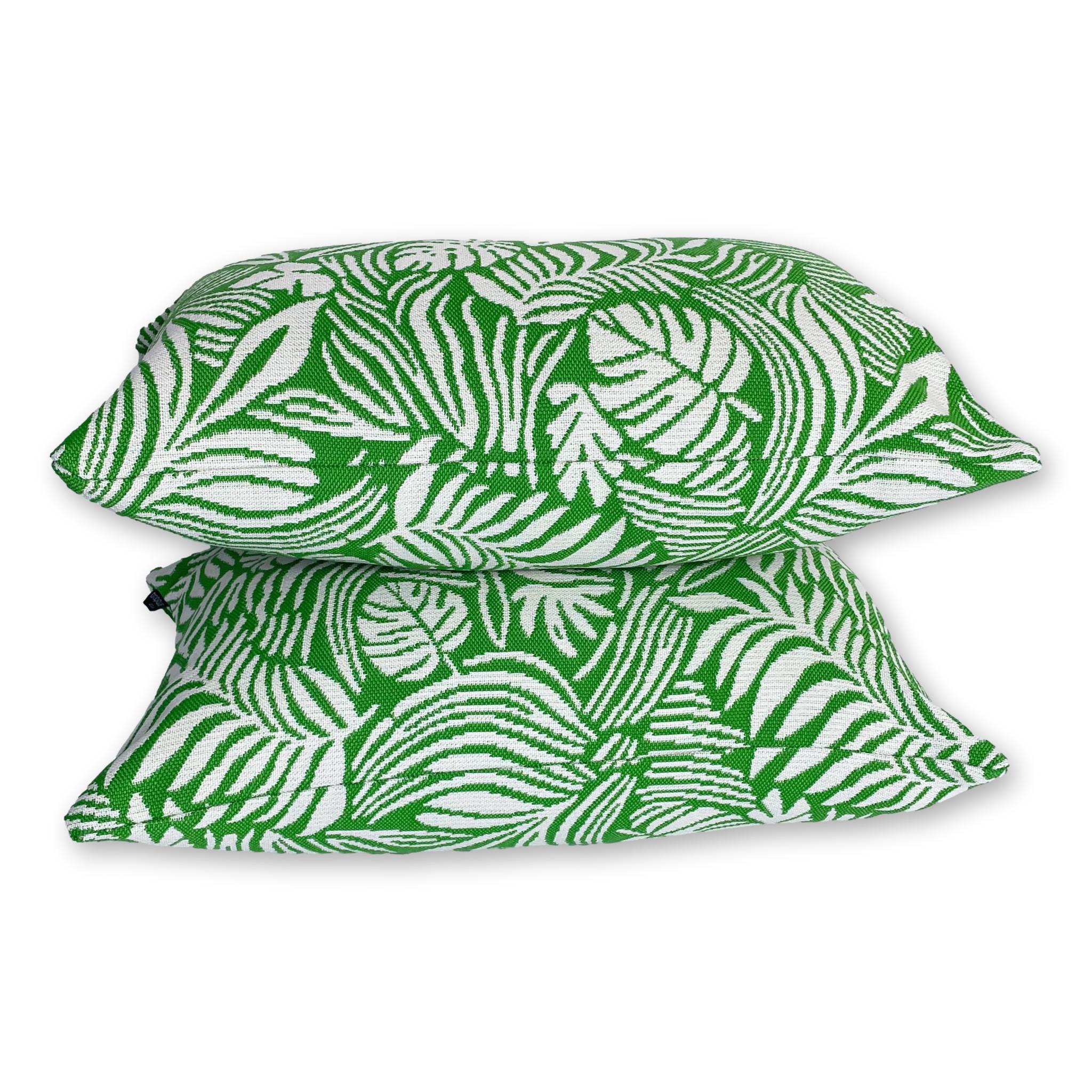 Tropical Leaf in Monstera