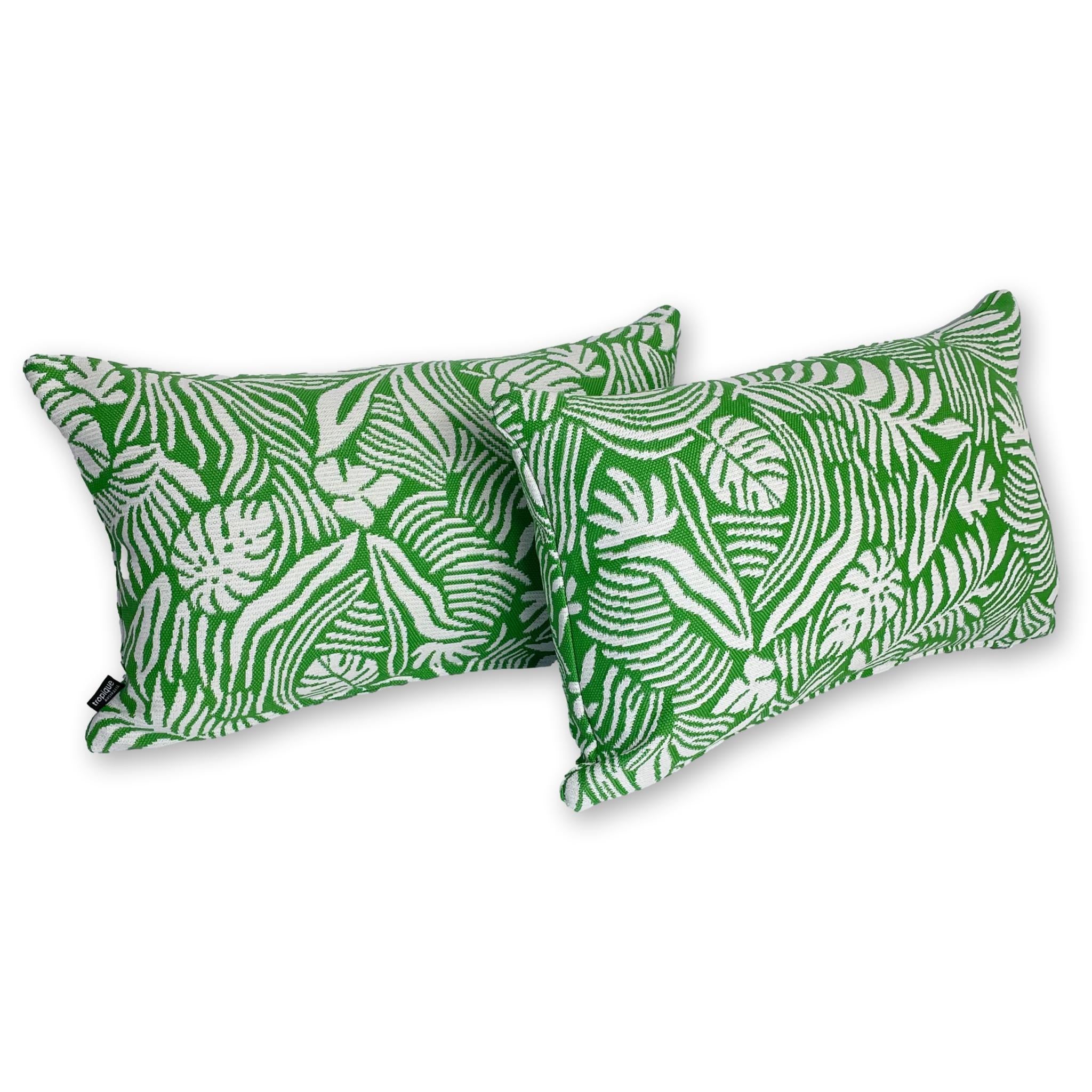 Tropical Leaf in Monstera