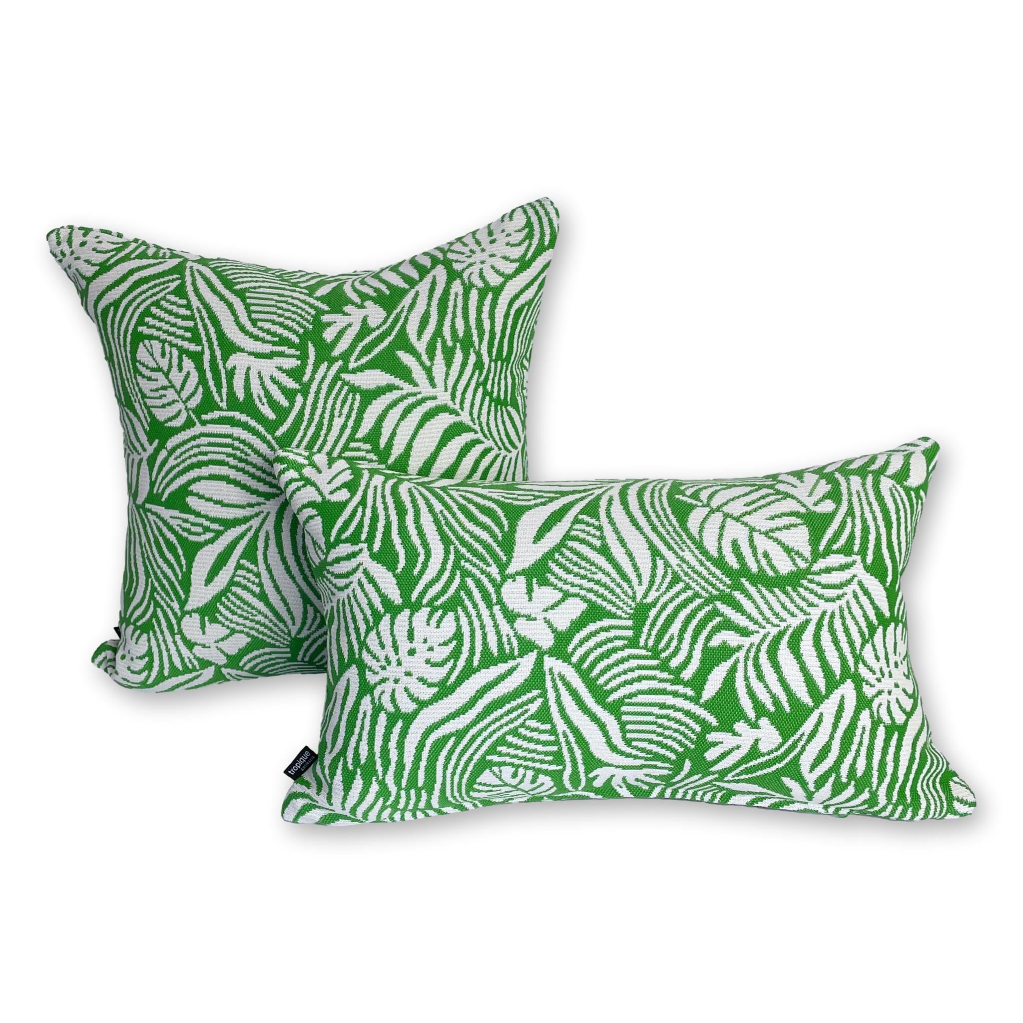 Tropical Leaf in Monstera