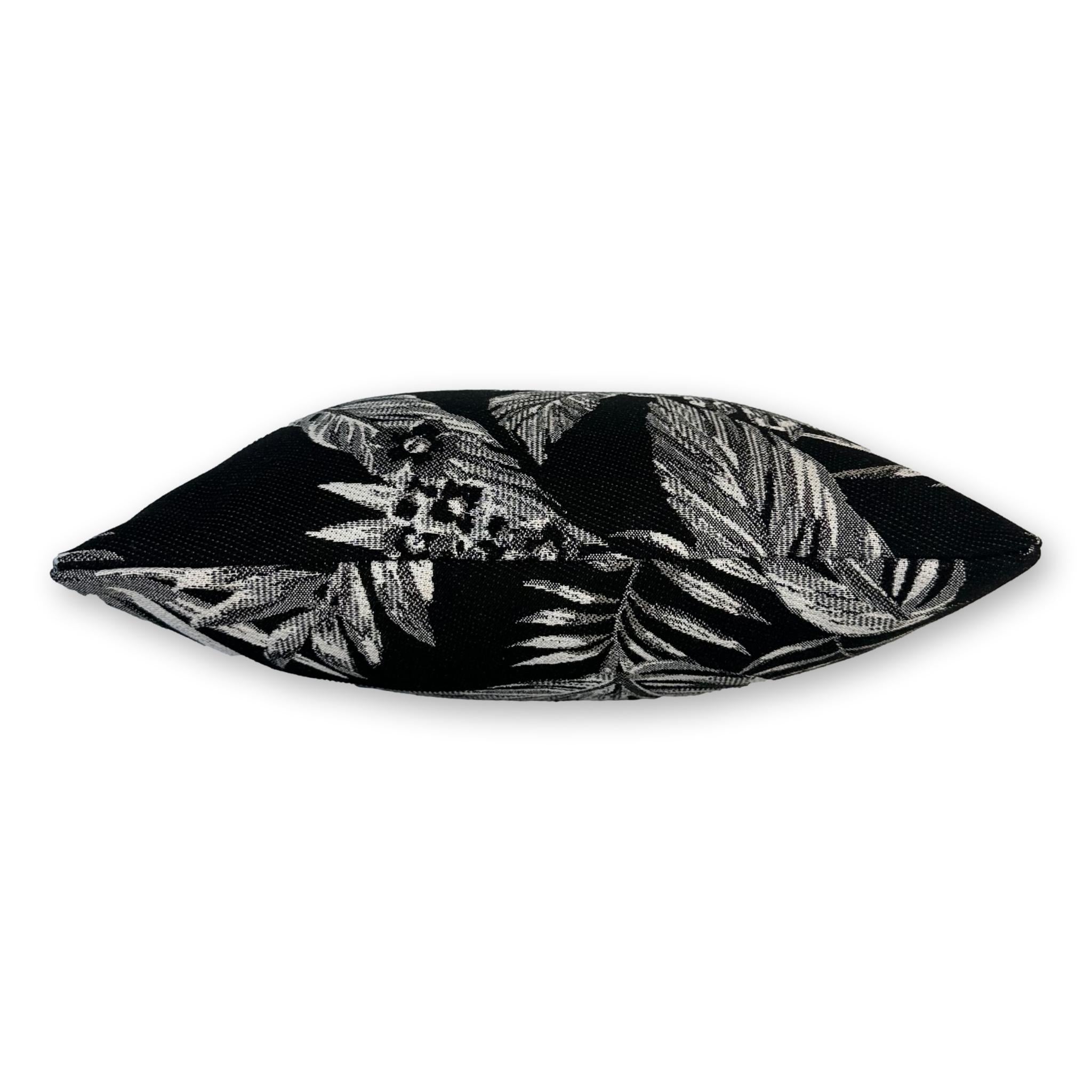 Cooktown Orchid in Classic Black