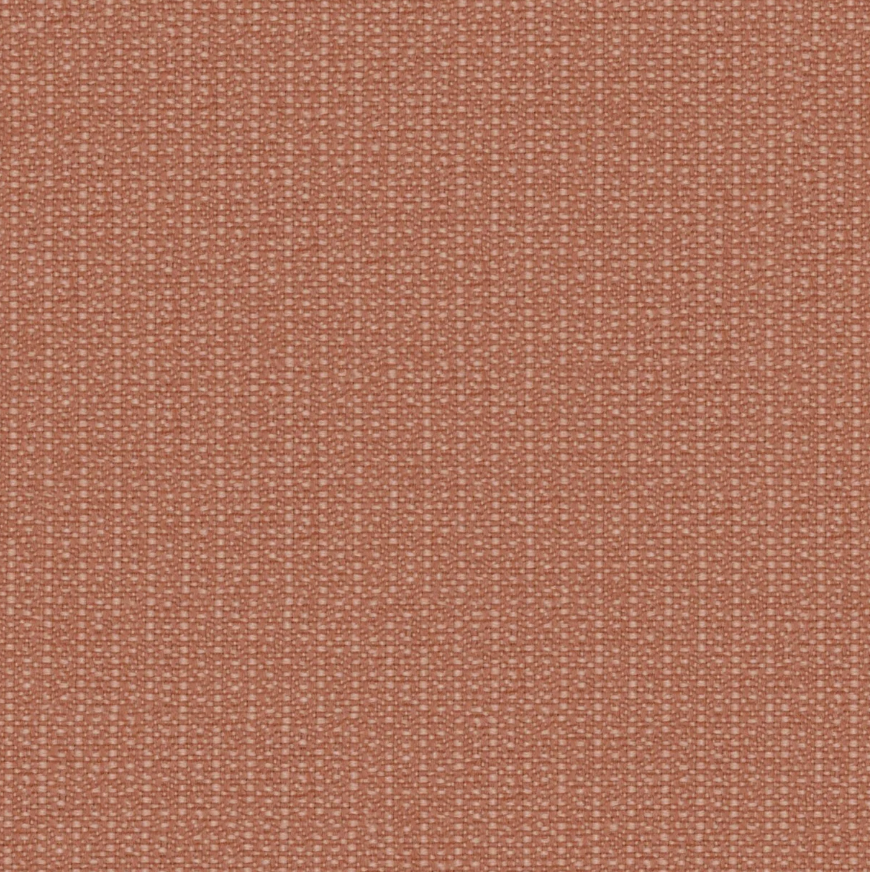 Exceed in Sienna