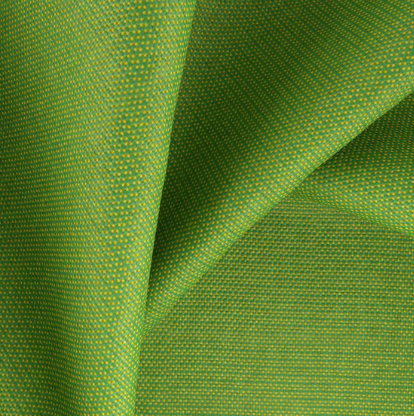 Climbing in Parrot - Sold Out