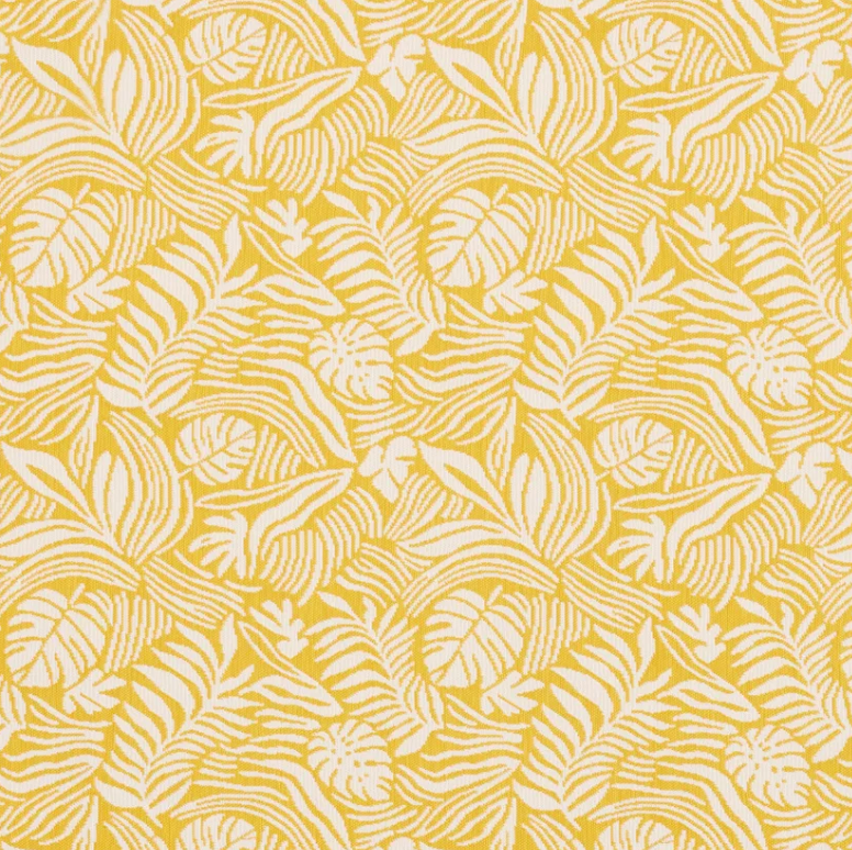 Tropical Leaf in Sunshine