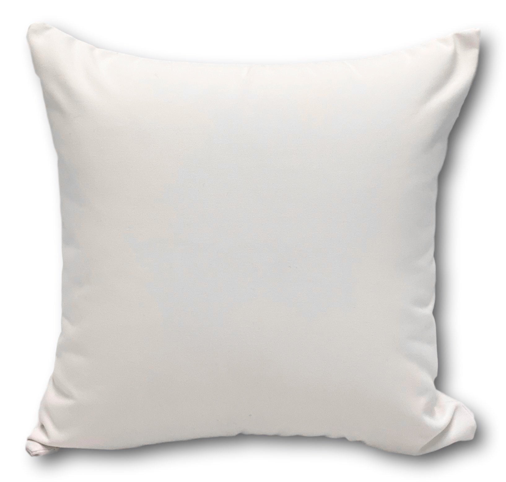 Sunbrella Canvas White