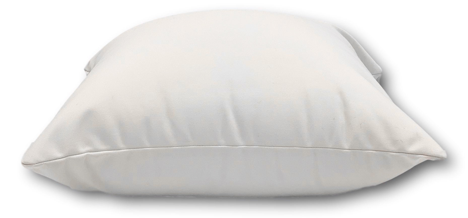 Sunbrella Canvas White