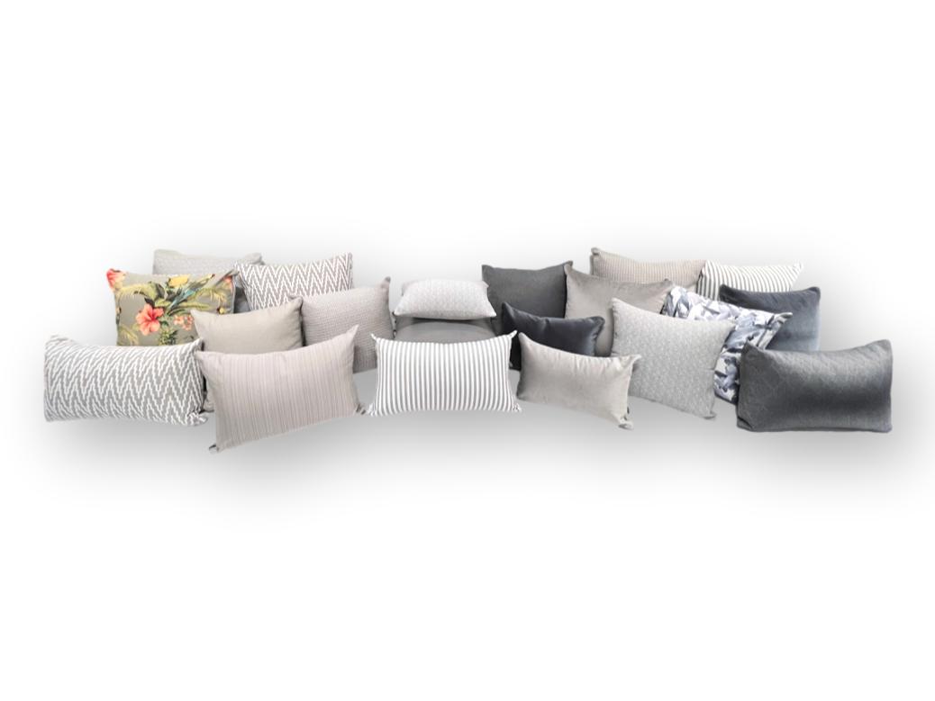 Parrots Dove Grey in Holiday 60cm - New Stock Arrived! - Tropique Cushions