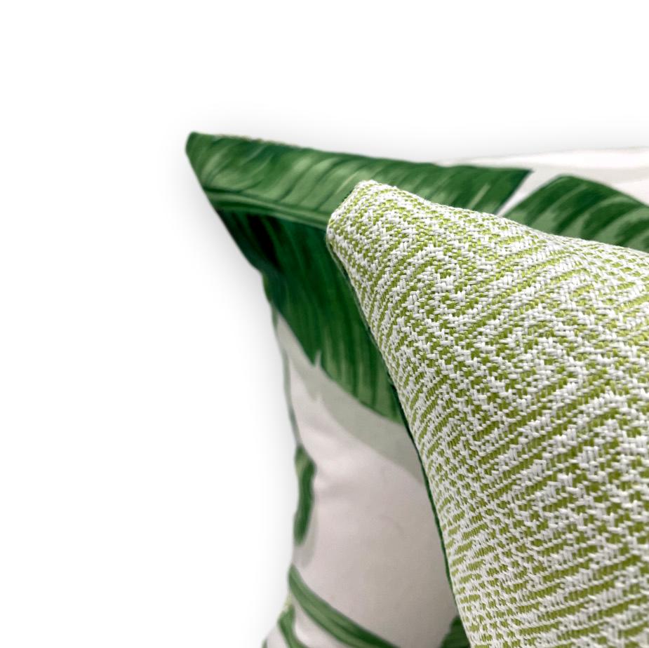 Palmiers Quay in Verde Lumbar