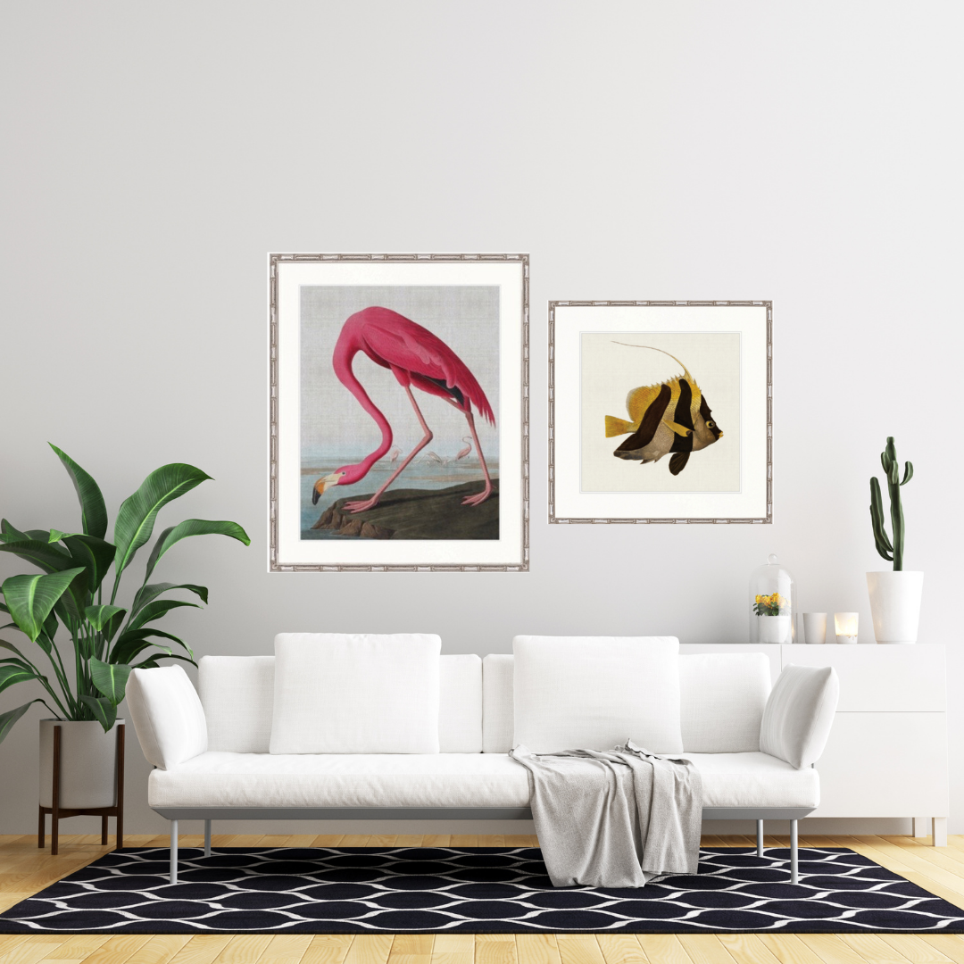 COLOURFUL FISH II