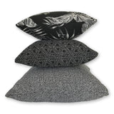 Cooktown Orchid in Classic Black