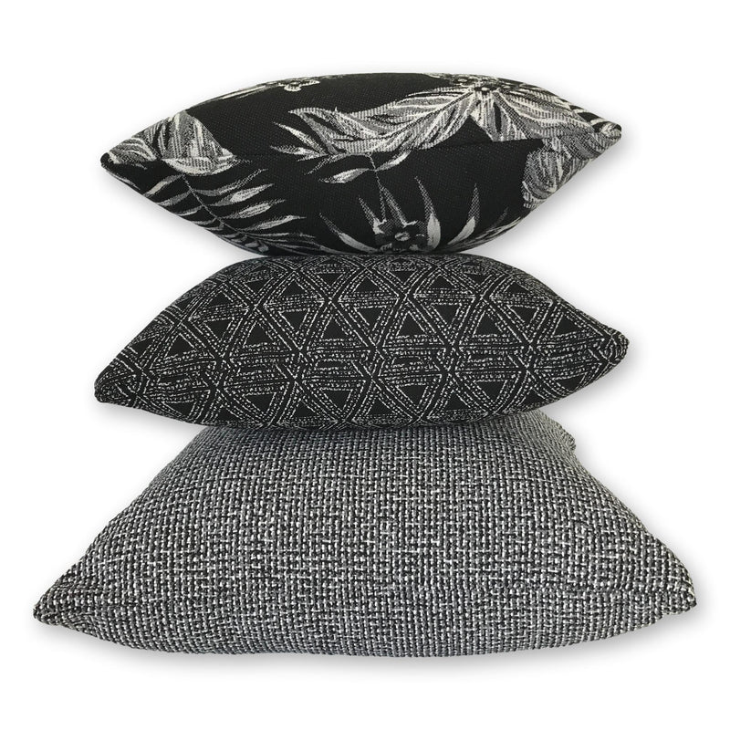 Cooktown Orchid in Classic Black