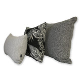 Cooktown Orchid in Classic Black