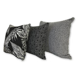 Cooktown Orchid in Classic Black