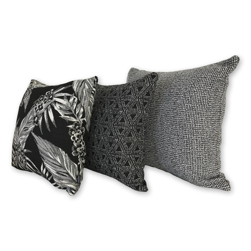 Cooktown Orchid in Classic Black