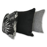 Cooktown Orchid in Classic Black