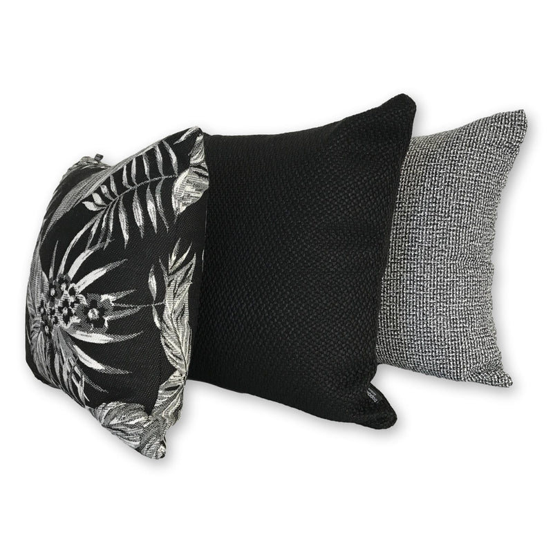 Cooktown Orchid in Classic Black