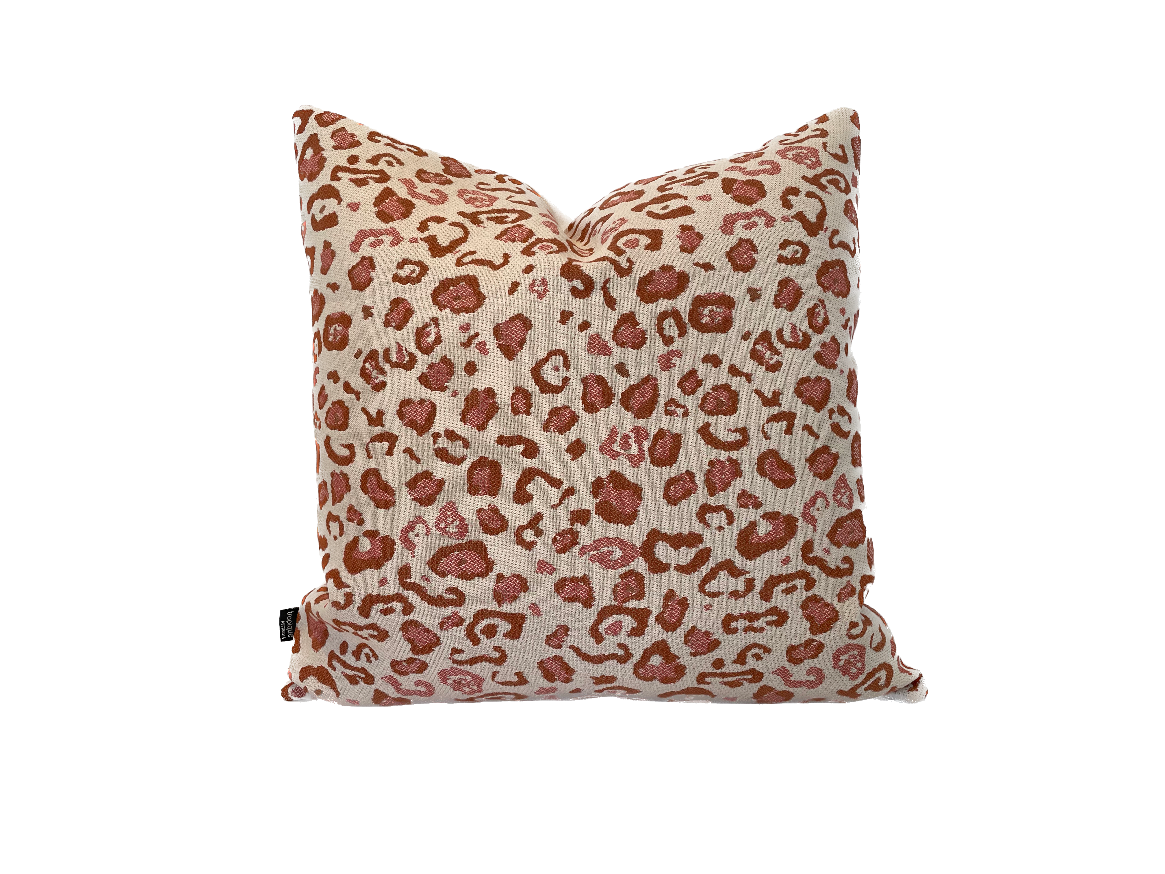 Leopard in Sunset Canyon