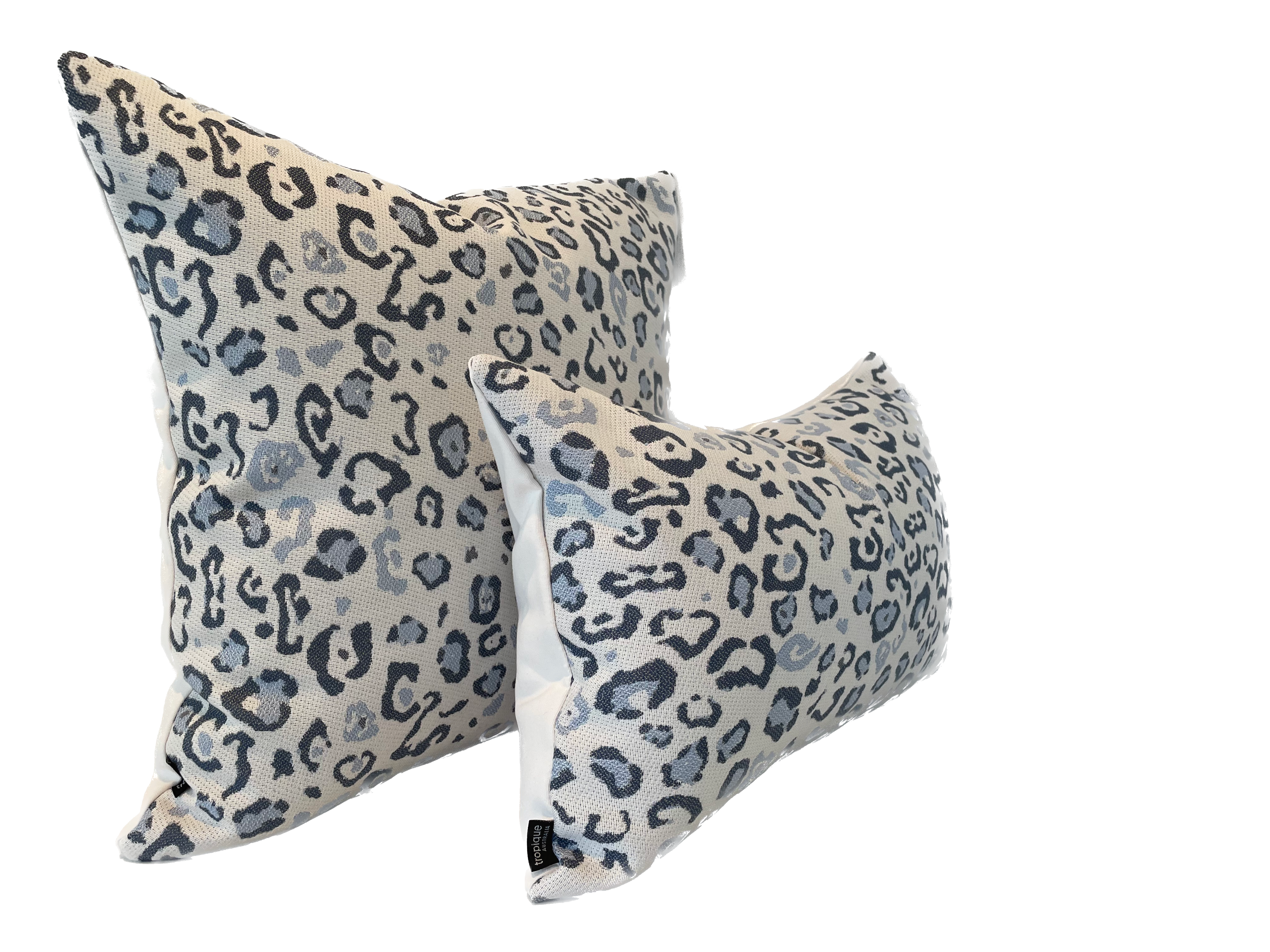 Leopard in Cloud