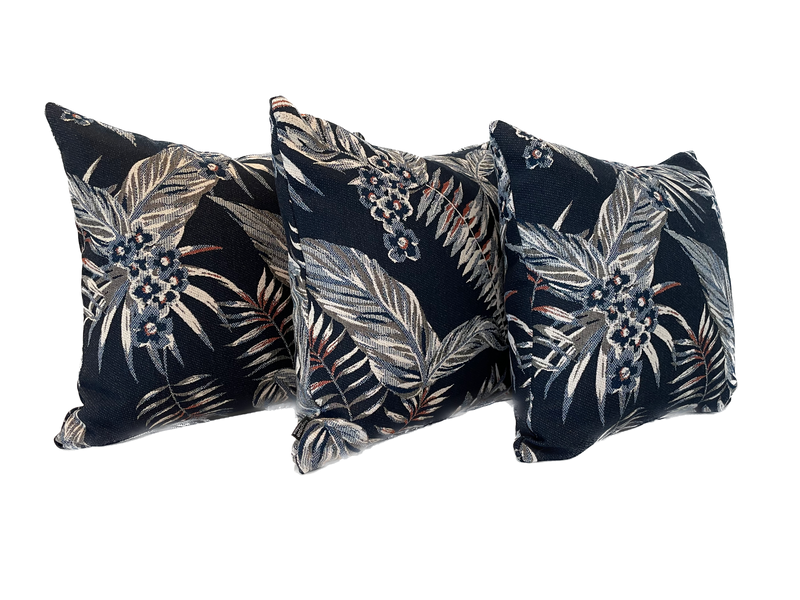 Cooktown Orchid in Midnight