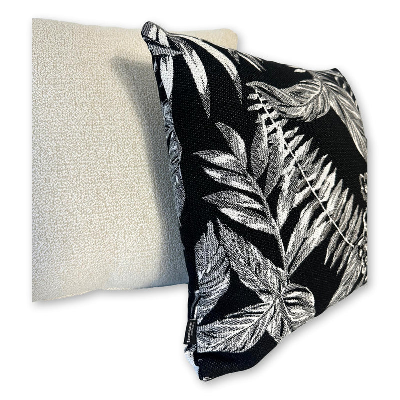 Cooktown Orchid in Classic Black