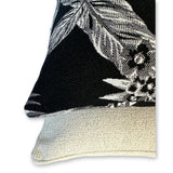 Cooktown Orchid in Classic Black