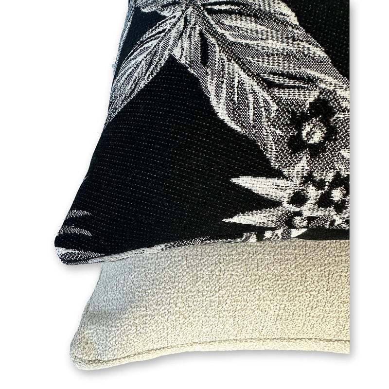 Cooktown Orchid in Classic Black