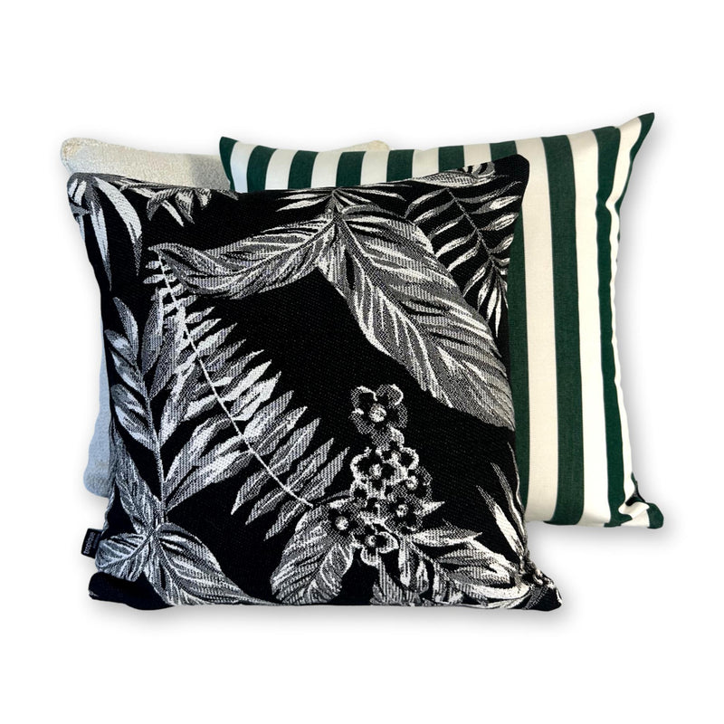 Cooktown Orchid in Classic Black