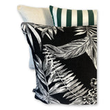 Cooktown Orchid in Classic Black