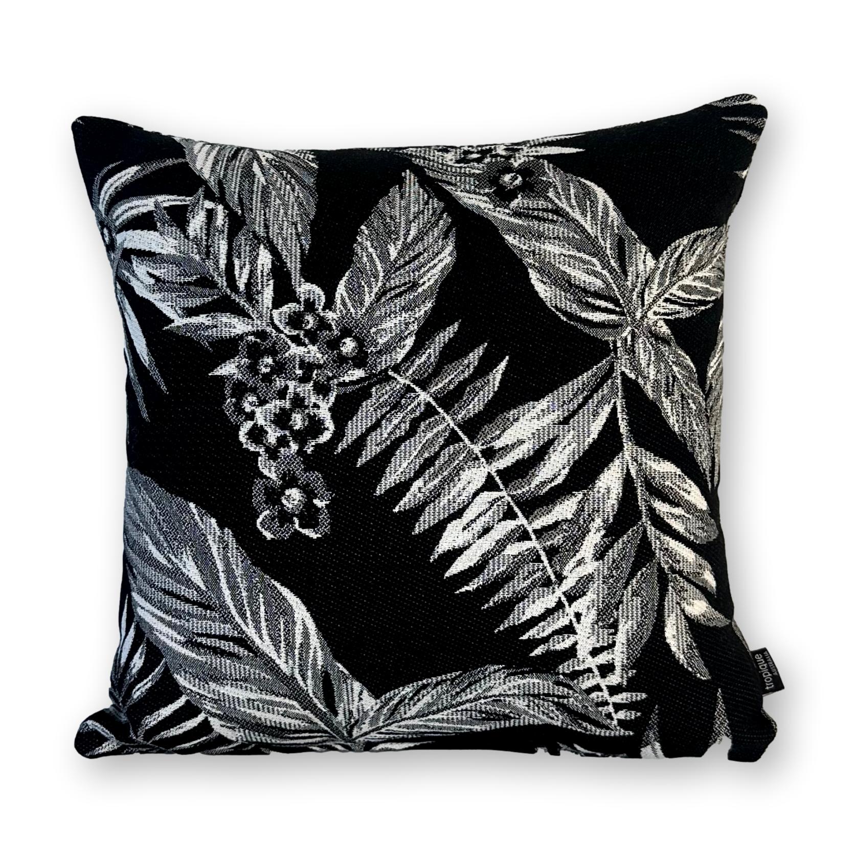 Cooktown Orchid in Classic Black