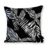 Cooktown Orchid in Classic Black
