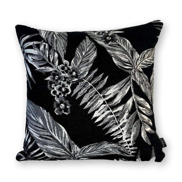 Cooktown Orchid in Classic Black