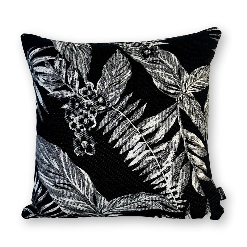 Cooktown Orchid in Classic Black