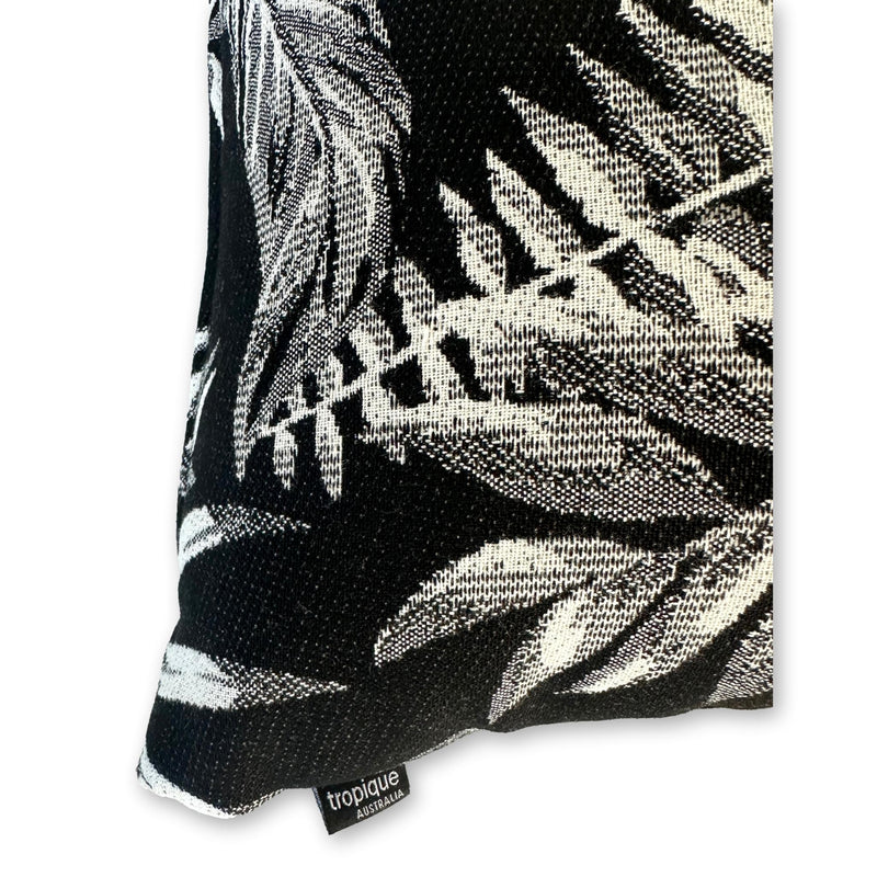 Cooktown Orchid in Classic Black
