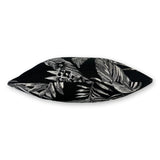 Cooktown Orchid in Classic Black