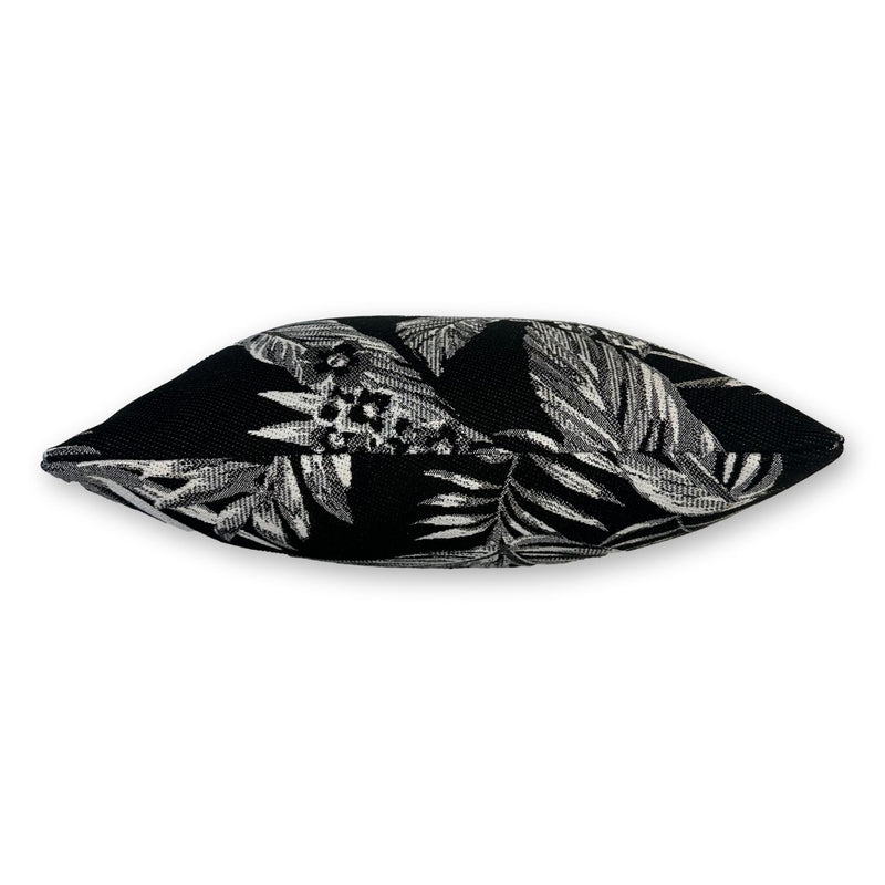 Cooktown Orchid in Classic Black