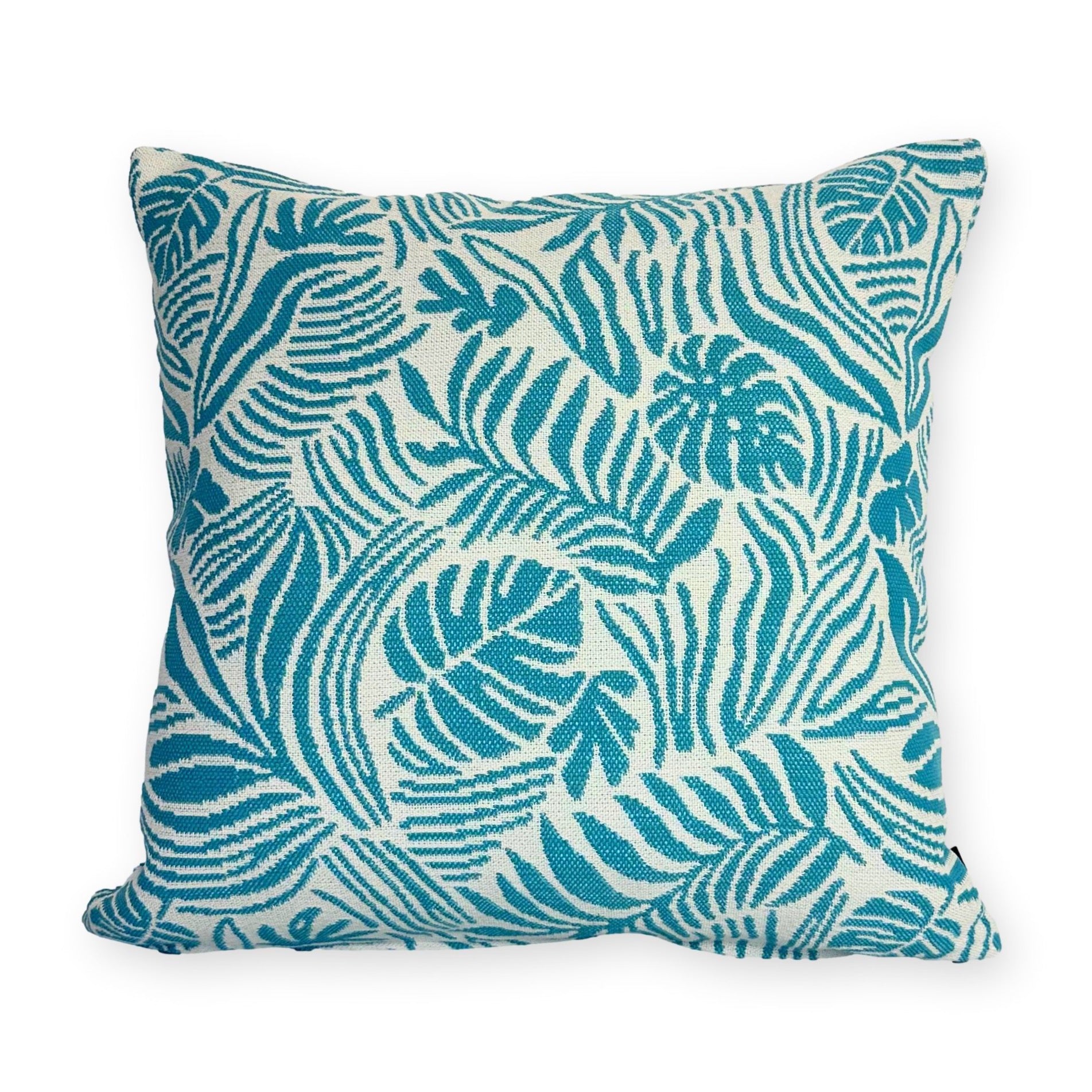 Tropical Leaf in Reef