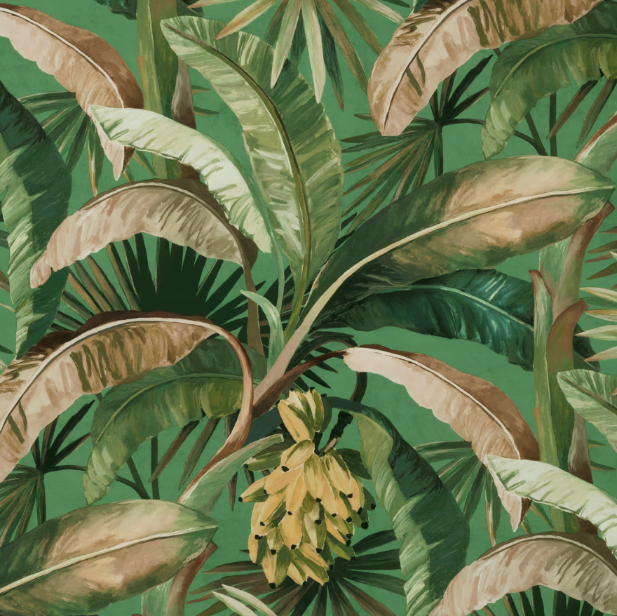 Tropicalia Ming
