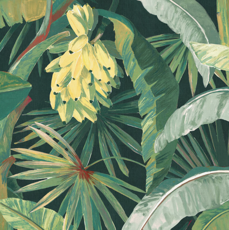 Tropicalia  Wallpaper