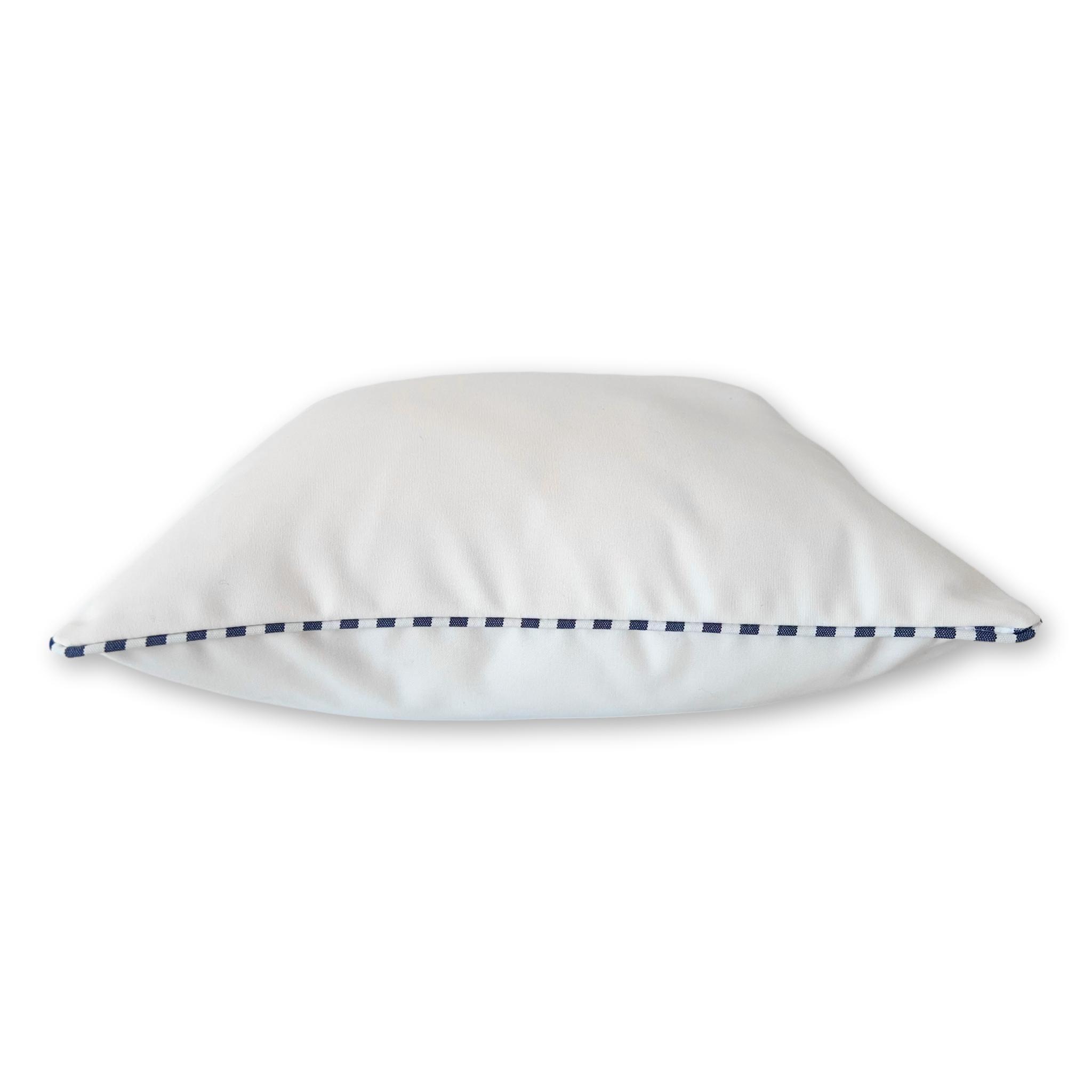 Sunbrella Canvas White with Piping