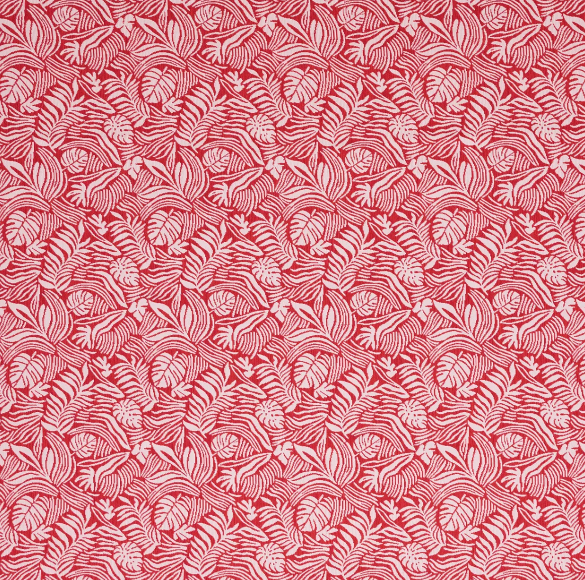 Tropical Leaf in Hibiscus